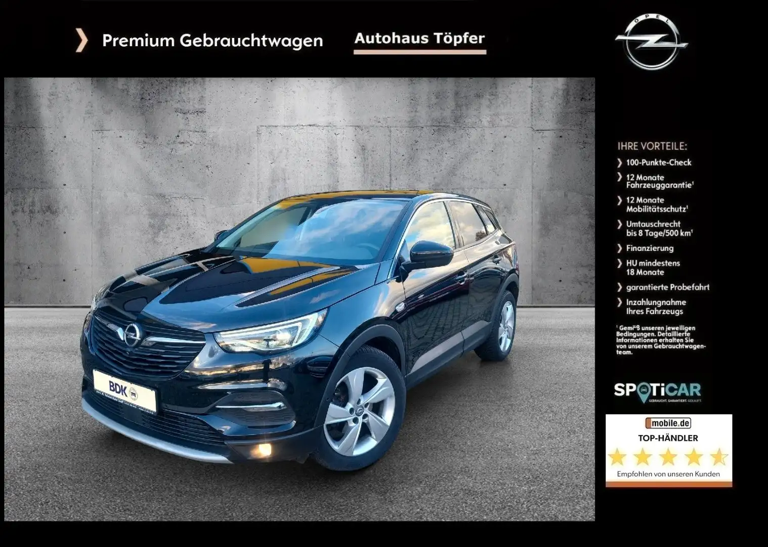 Opel Grandland X Premium "Innovation" Kamera/Voll-LED Zwart - 1
