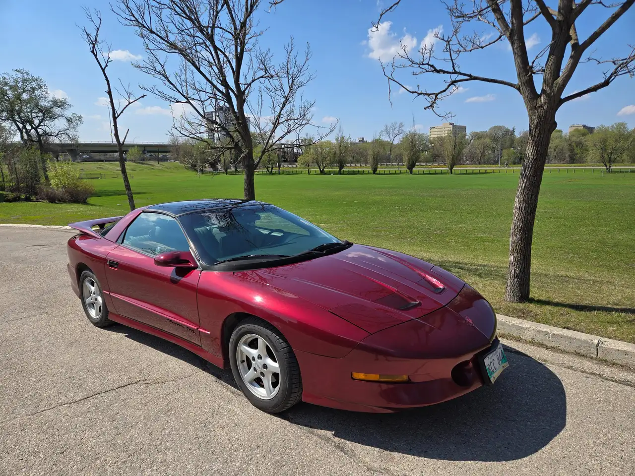 1995 Pontiac Firebird