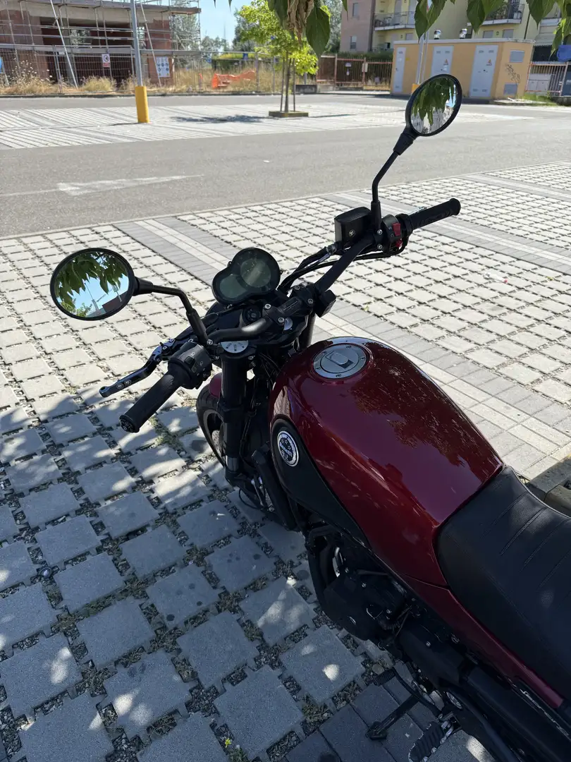 Benelli Leoncino 500 - 2