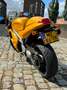 Triumph Daytona 955i hoge carbon uitlaat, nwe banden, beurt, accu etc. Золотий - thumbnail 5