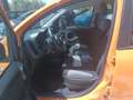 Fiat Panda 1.0 Firefly S&S Hybrid 70 CV Arancione - thumbnail 6