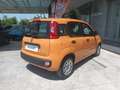 Fiat Panda 1.0 Firefly S&S Hybrid 70 CV Arancione - thumbnail 16