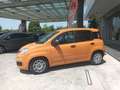 Fiat Panda 1.0 Firefly S&S Hybrid 70 CV Arancione - thumbnail 3