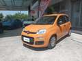 Fiat Panda 1.0 Firefly S&S Hybrid 70 CV Arancione - thumbnail 4