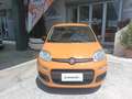 Fiat Panda 1.0 Firefly S&S Hybrid 70 CV Arancione - thumbnail 2