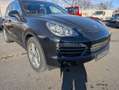 Porsche Cayenne S Hybrid/PANORAMA/BOSE/KAMERA/XENON Zwart - thumbnail 10