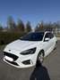 Ford Focus 1,5 EcoBlue ST-Line Business - thumbnail 2