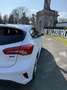 Ford Focus 1,5 EcoBlue ST-Line Business - thumbnail 4