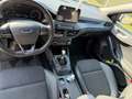 Ford Focus 1,5 EcoBlue ST-Line Business - thumbnail 10