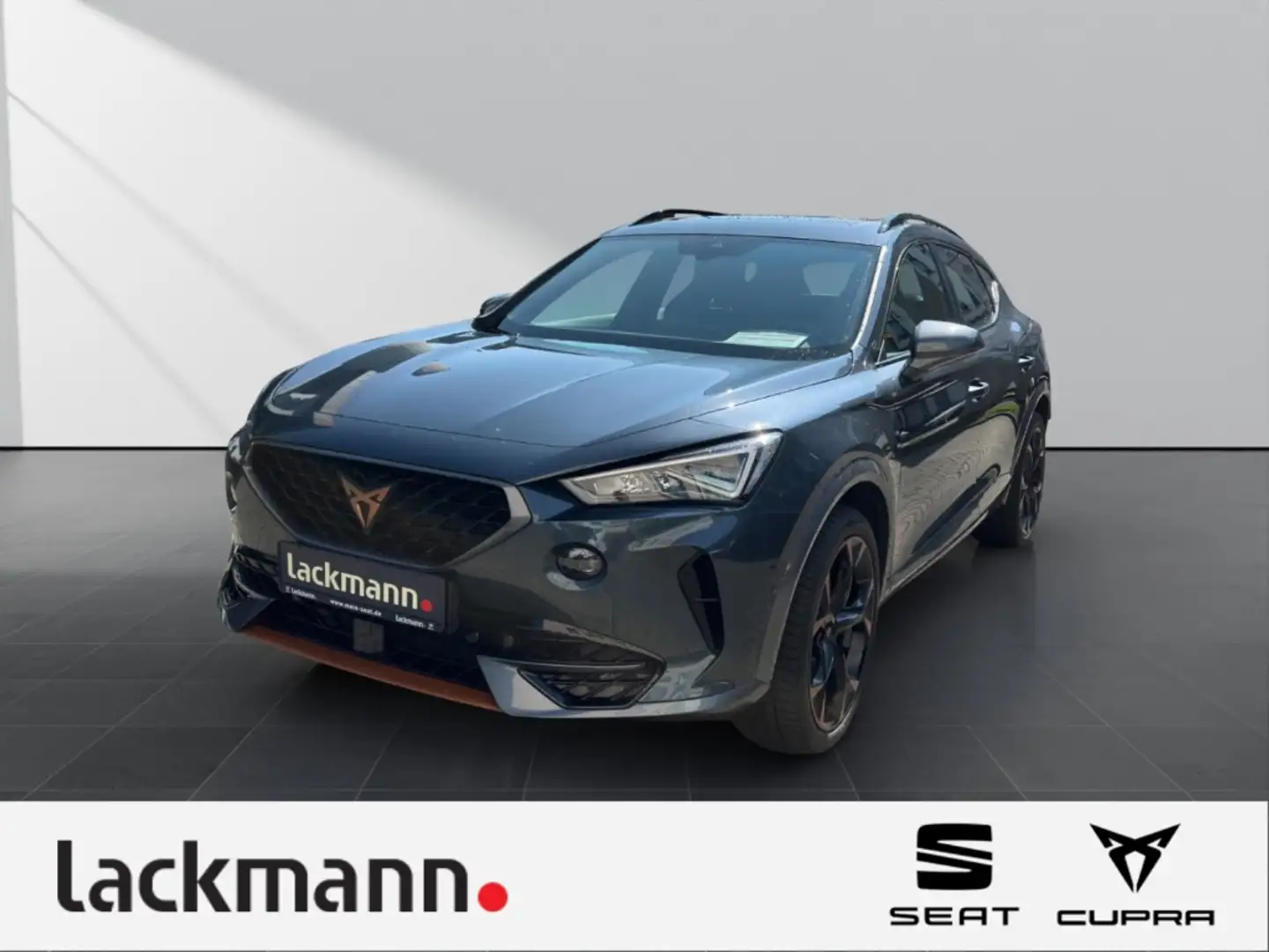 CUPRA Formentor 2.0 TSI VZ 4Drive 4Drive*Leder*Panorama Grau - 1