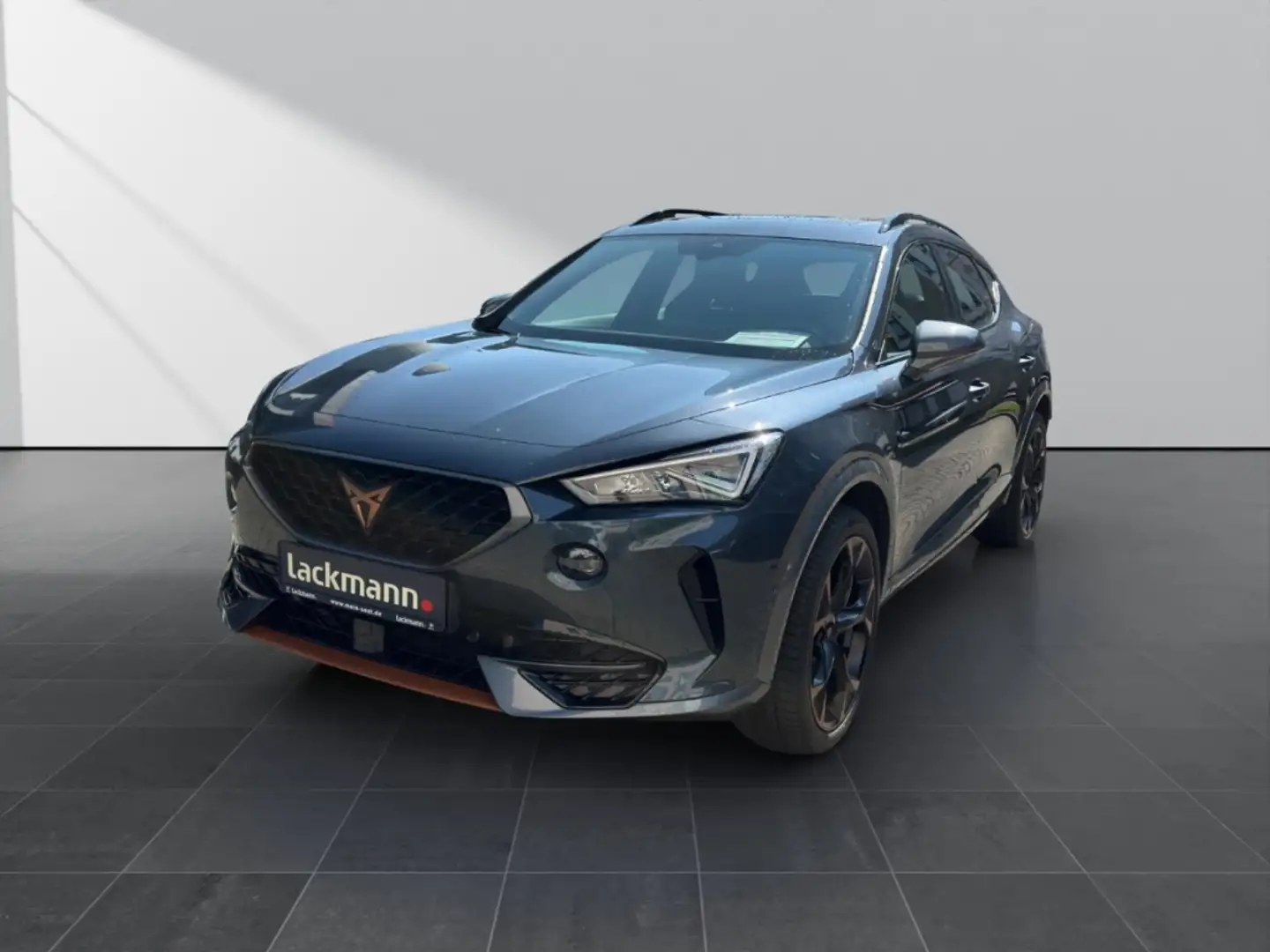 CUPRA Formentor VZ 4Drive TSI EU6d 2.0 4Drive*Leder*Panorama*Beats Grau - 1