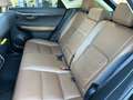 Lexus NX 300h Executive Hybrid Aut. Schwarz - thumbnail 10