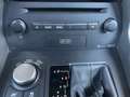 Lexus NX 300h Executive Hybrid Aut. Schwarz - thumbnail 37