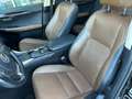 Lexus NX 300h Executive Hybrid Aut. Schwarz - thumbnail 9