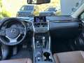 Lexus NX 300h Executive Hybrid Aut. Schwarz - thumbnail 7