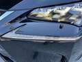 Lexus NX 300h Executive Hybrid Aut. Schwarz - thumbnail 32