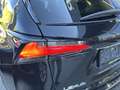Lexus NX 300h Executive Hybrid Aut. Schwarz - thumbnail 34