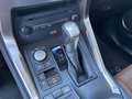 Lexus NX 300h Executive Hybrid Aut. Schwarz - thumbnail 22