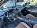 Lexus NX 300h Executive Hybrid Aut. Schwarz - thumbnail 6