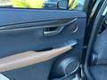 Lexus NX 300h Executive Hybrid Aut. Schwarz - thumbnail 30