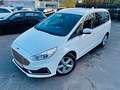 Ford Galaxy 2,0 EcoBlue 110kW Titanium Auto Blanc - thumbnail 28