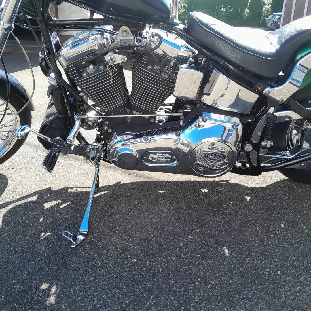 Harley-Davidson Softail Softail Custom Violet - 1