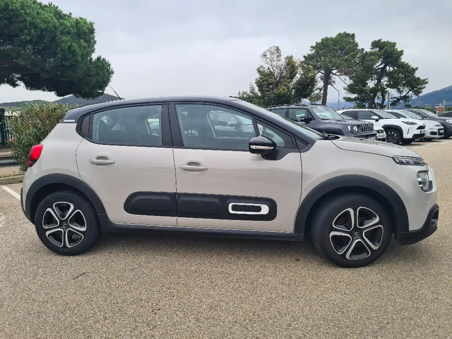Citroen C3 III (2) 1.2 83 Setamp;S FEEL BUSINESS - 1