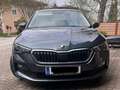 Skoda Scala Scala 1,0 TSI SC DSG SC Grau - thumbnail 2