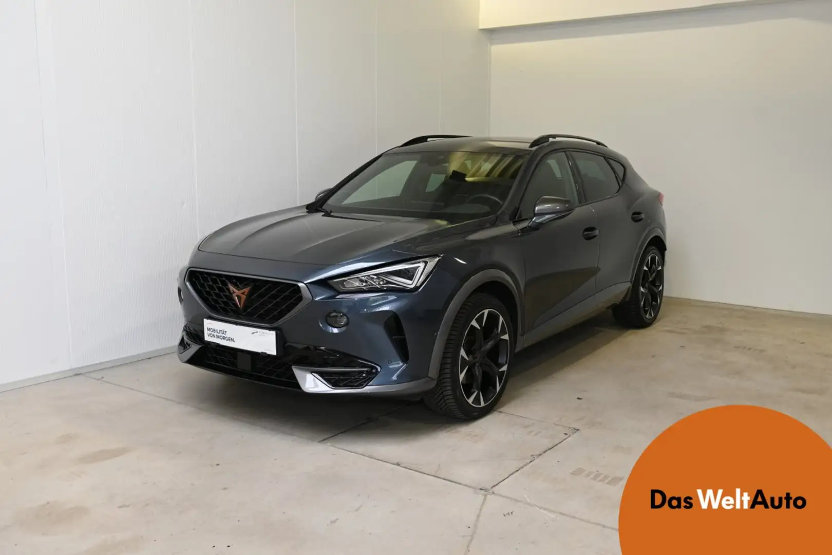 CUPRA Formentor 2.0 TDI 150 PS DSG 4Drive Grau - 1