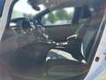 Nissan Leaf e+ N-Connecta Navi, Klima, 360°-Kam, SHZ Blanc - thumbnail 8