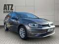 Volkswagen Golf VII 1.6 TDI Comfortline (EURO 6d-TEMP) Argent - thumbnail 7