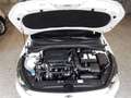 Kia ProCeed / pro_cee'd GT-Line EU6d Proceed 1.5 T-GDI GT Line Navi Digita Blanc - thumbnail 14