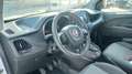 Fiat DOBLO'  1,6 MJT 105 Bianco - thumbnail 9