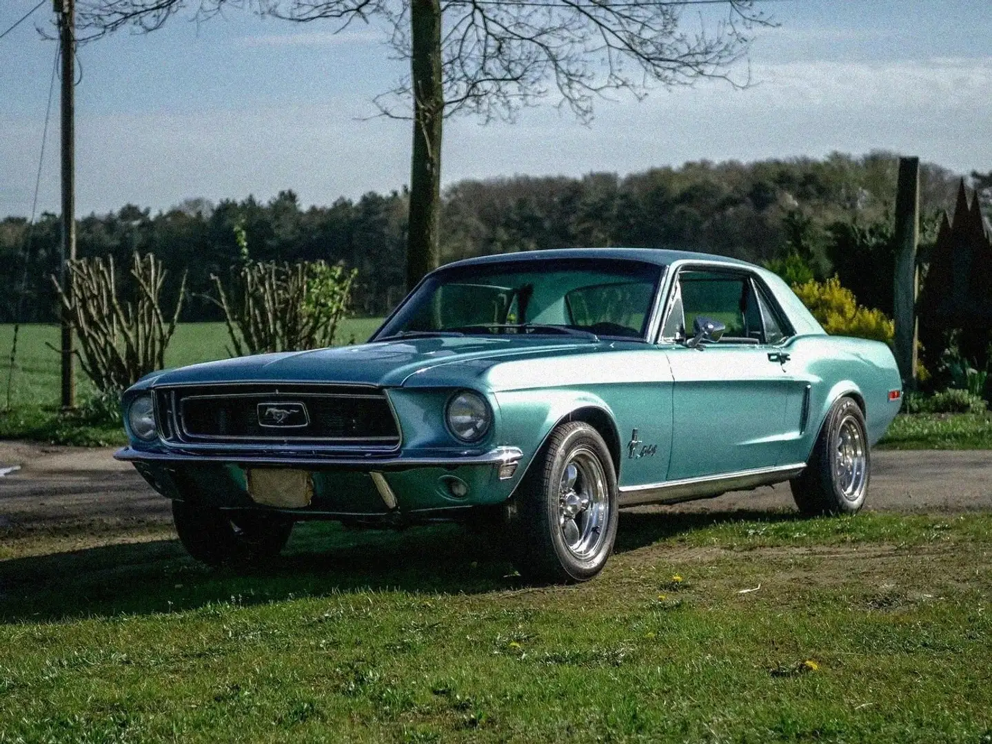 Ford Mustang Mustang Albastru - 1