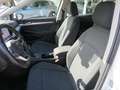Volkswagen Golf Golf Weiß - thumbnail 4