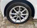smart forTwo Cabrio +BT+DAB+ Weiß - thumbnail 17
