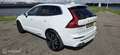 Volvo XC60 2.0 T6 AWD Inscription,Compleet Heico Uitgevoerd! Weiß - thumbnail 5