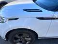 Land Rover Range Rover Velar Range Rover Velar 2.0D I4 204 CV R-Dynamic SE Blanc - thumbnail 6