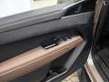 Volkswagen Amarok 3.0 TDI PanAmericana 4MOTION AHK 360° Beige - thumbnail 13