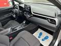 Toyota C-HR Hybrid Business Edition/NAVI/SHZ/TEMP/KAM Silber - thumbnail 13