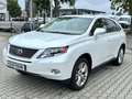 Lexus RX 450h Luftfederung/PANO/HUD/Memory/Kamera Alb - thumbnail 1