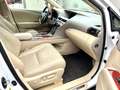 Lexus RX 450h Luftfederung/PANO/HUD/Memory/Kamera Alb - thumbnail 14