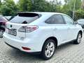 Lexus RX 450h Luftfederung/PANO/HUD/Memory/Kamera Alb - thumbnail 6