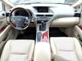 Lexus RX 450h Luftfederung/PANO/HUD/Memory/Kamera Alb - thumbnail 11