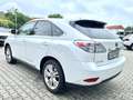 Lexus RX 450h Luftfederung/PANO/HUD/Memory/Kamera Alb - thumbnail 5