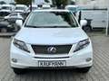 Lexus RX 450h Luftfederung/PANO/HUD/Memory/Kamera Alb - thumbnail 2