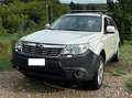 Subaru Forester Forester 2010 2.0  bi-fuel Blanc - thumbnail 3