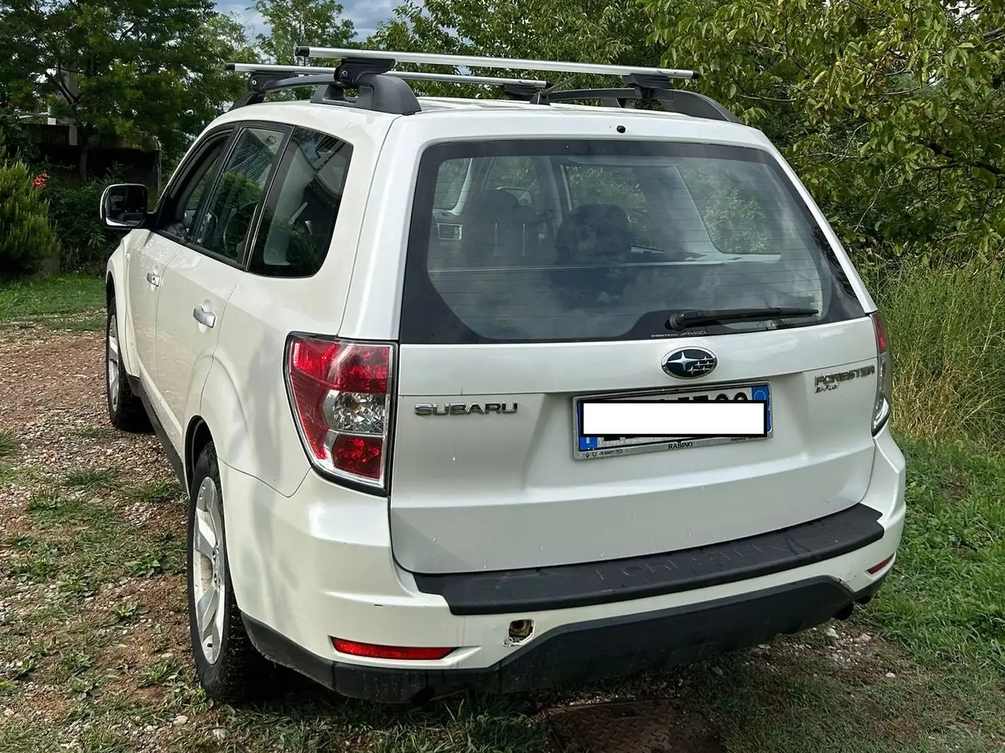 Subaru Forester Forester 2010 2.0  bi-fuel Blanc - 2