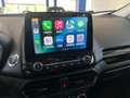 Ford EcoSport 1.0 EcoBoost 125 CV Start&Stop ST-Line Grijs - thumbnail 10