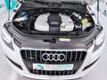 Audi Q7 3.0TDI Ambition 204 Tiptronic Blanco - thumbnail 10